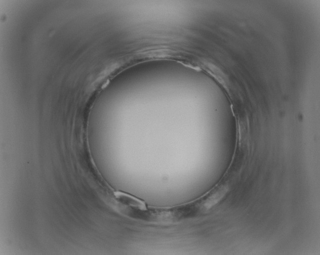 X0000074310301200609081949