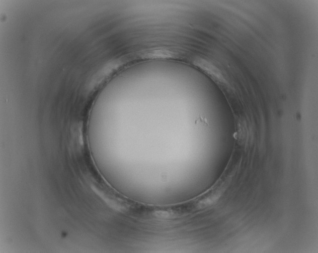 X0000074310302200609081949