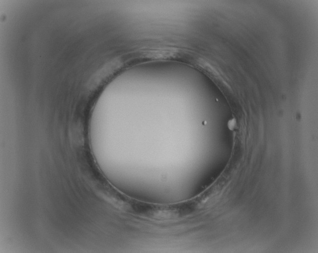 X0000074310303200609081949