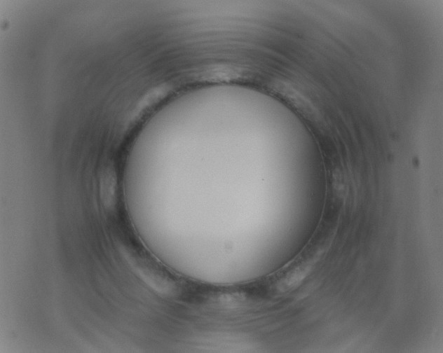 X0000074310304200609081949