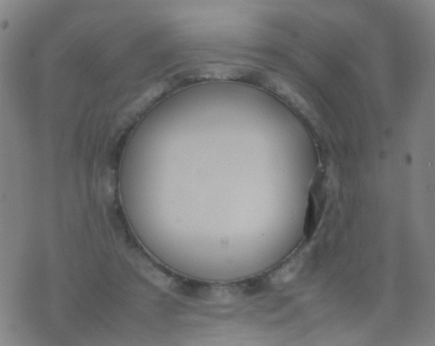 X0000074310305200609081949