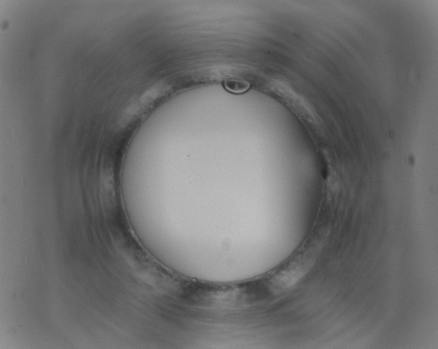 X0000074310306200609081949