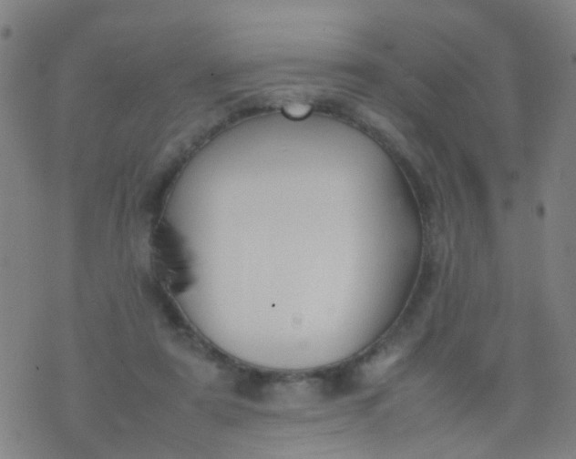 X0000074310307200609081949