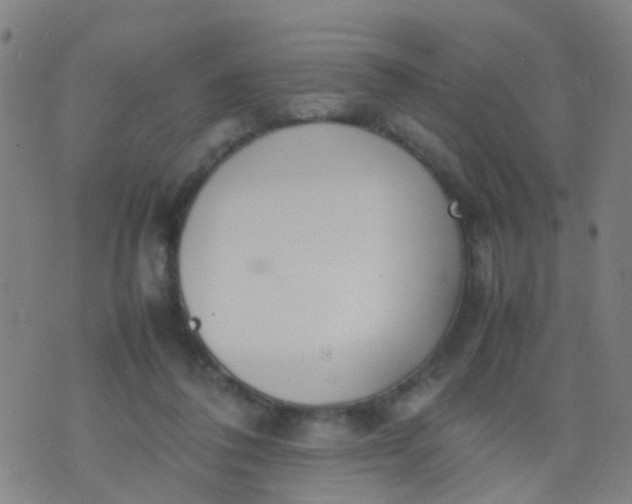 X0000074310308200609081949