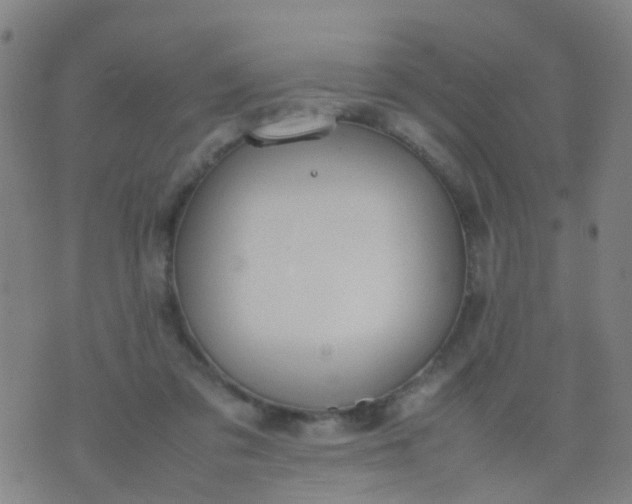 X0000074310309200609081949