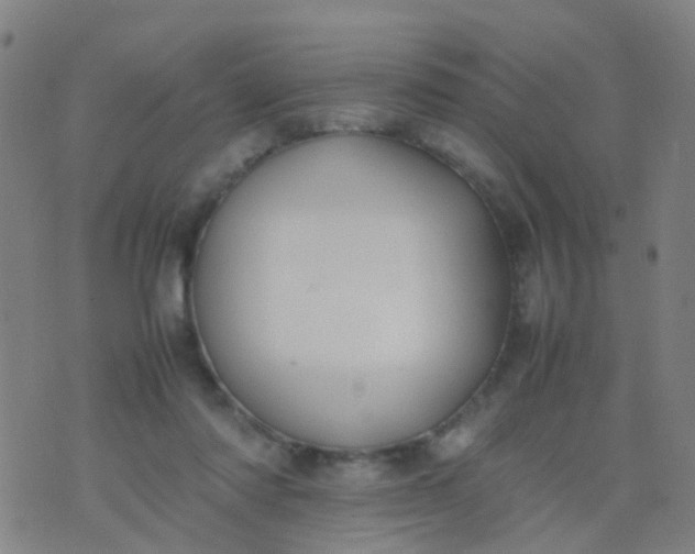 X0000074310310200609081949