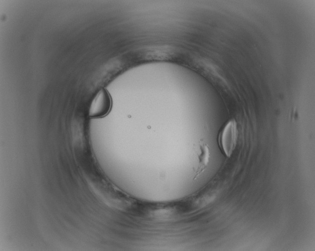 X0000074310312200609081949