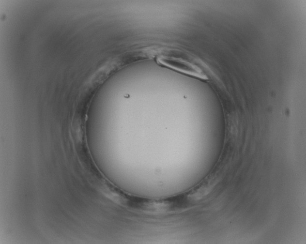 X0000074310313200609081949