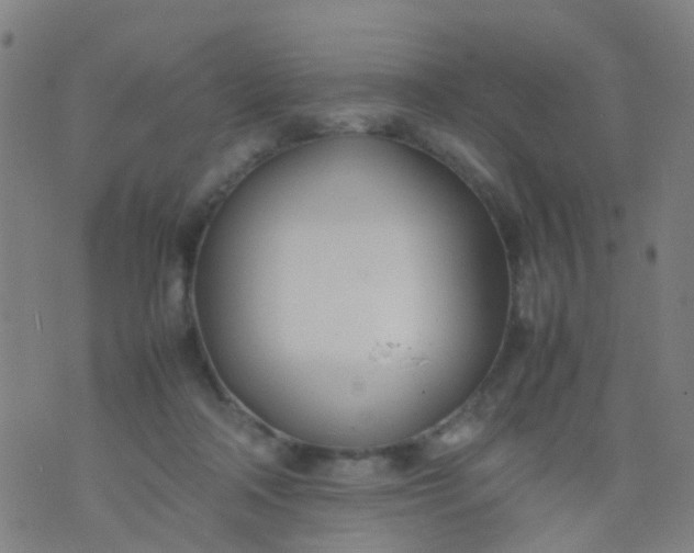 X0000074310314200609081949