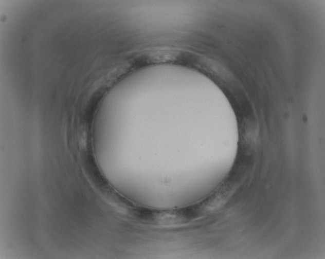 X0000074310315200609081948