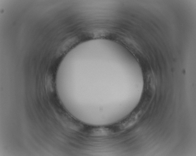 X0000074310316200609081948