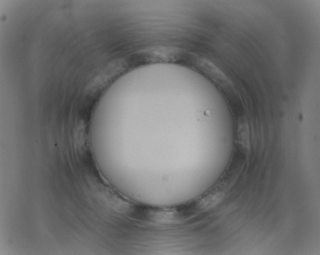 X0000074310318200609081948