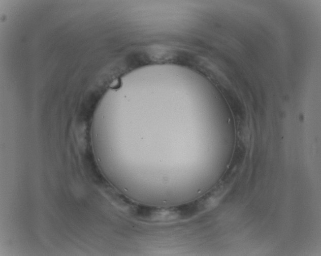 X0000074310319200609081948