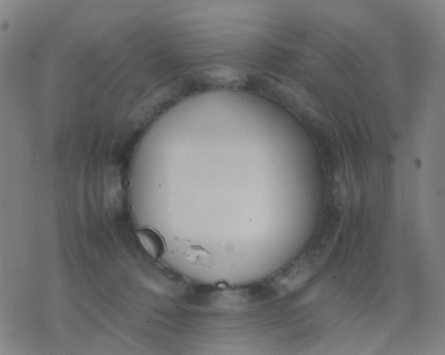 X0000074310320200609081948