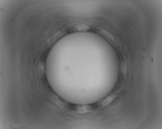 X0000074310321200609081948