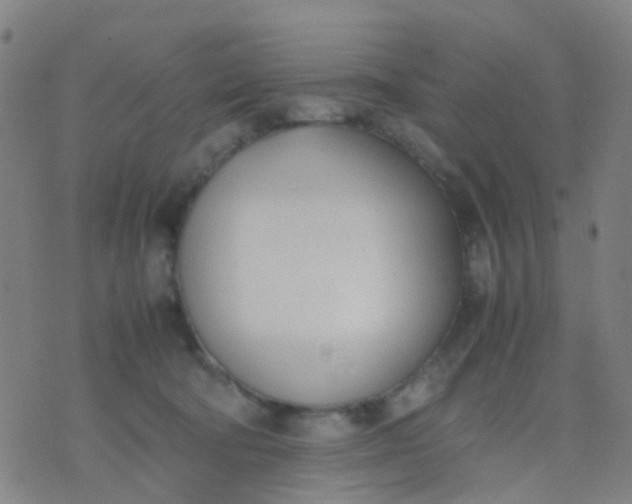 X0000074310322200609081948