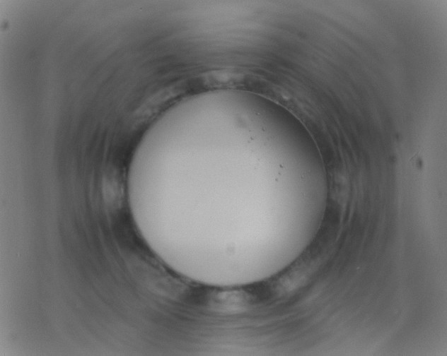 X0000074310324200609081948