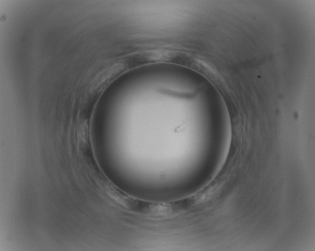 X0000074310325200609081948