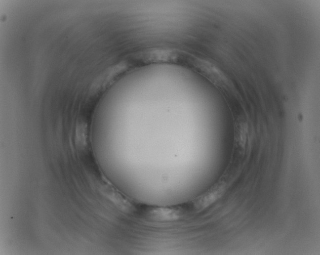 X0000074310326200609081948