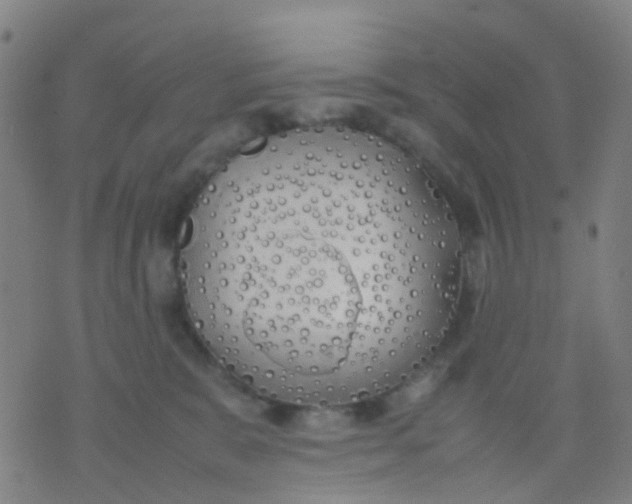 X0000074310327200609081948