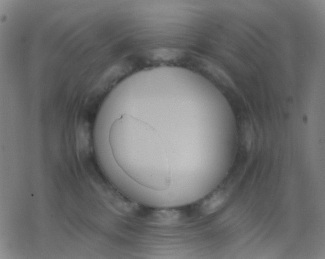 X0000074310328200609081948