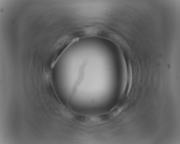 X0000074310329200609081948