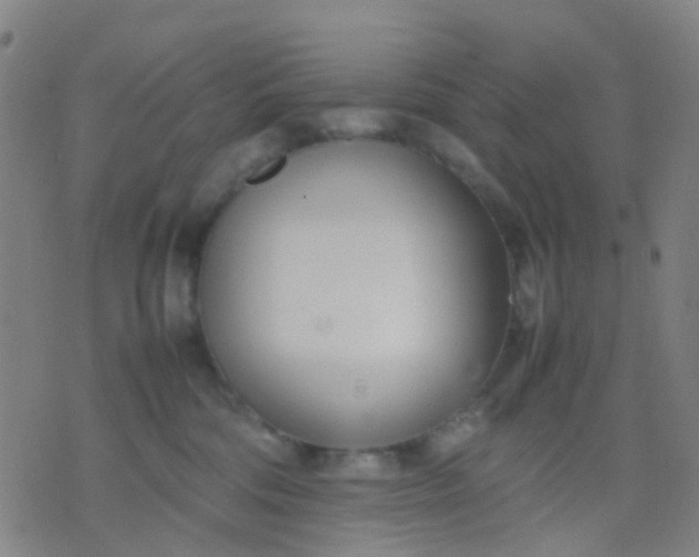 X0000074310330200609081948