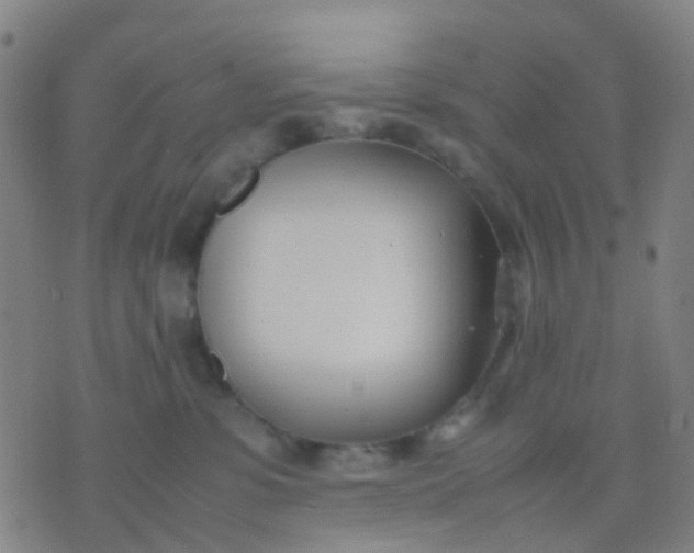 X0000074310331200609081948