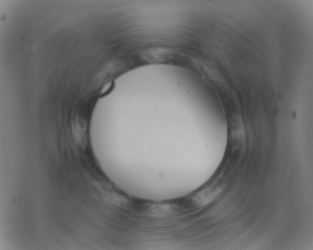 X0000074310332200609081948