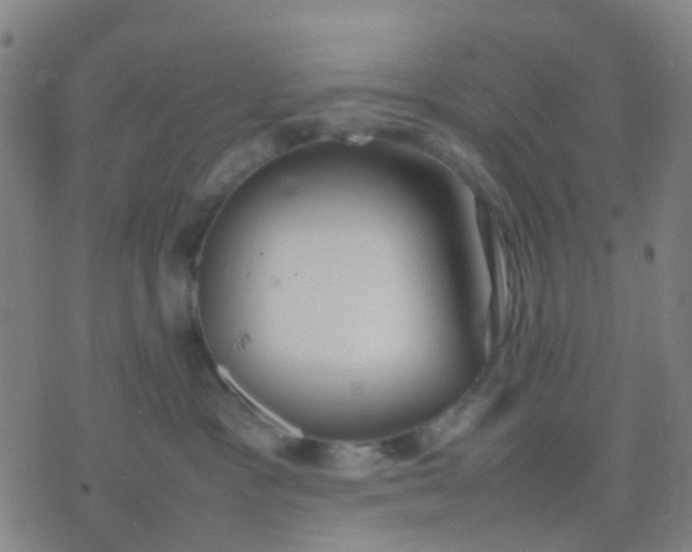 X0000074310333200609081948