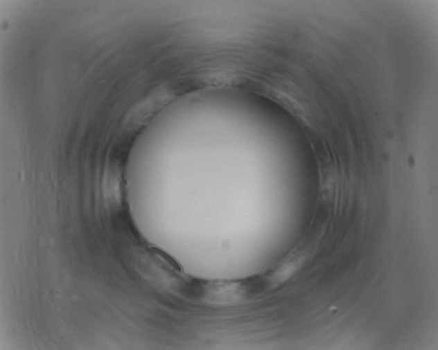 X0000074310334200609081948