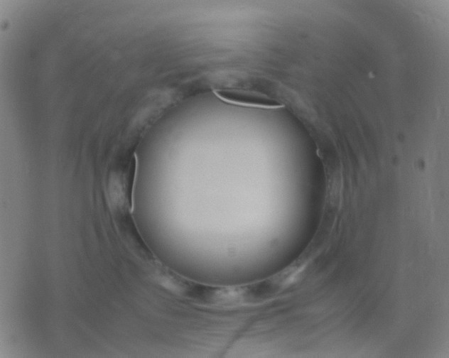 X0000074310335200609081948