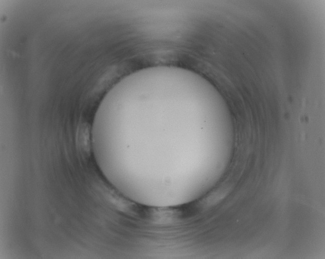 X0000074310336200609081948