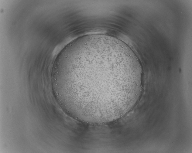 X0000074310337200609081947