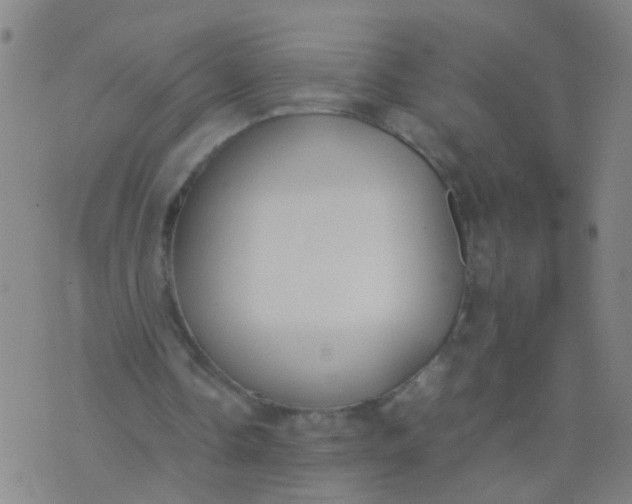 X0000074310338200609081947