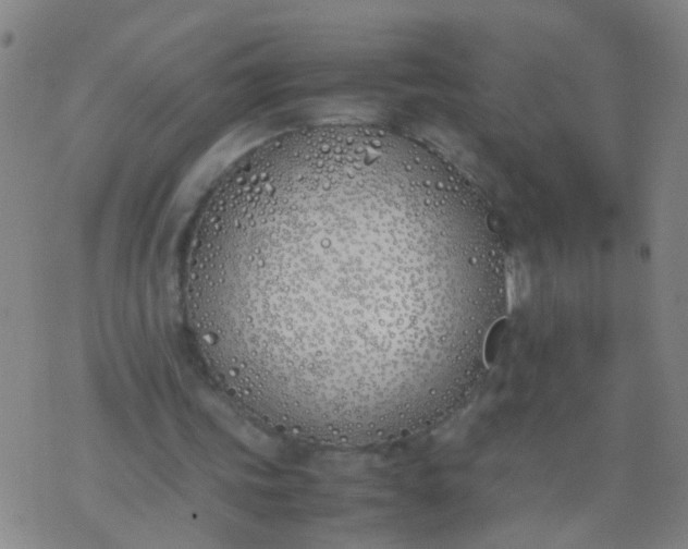 X0000074310339200609081947