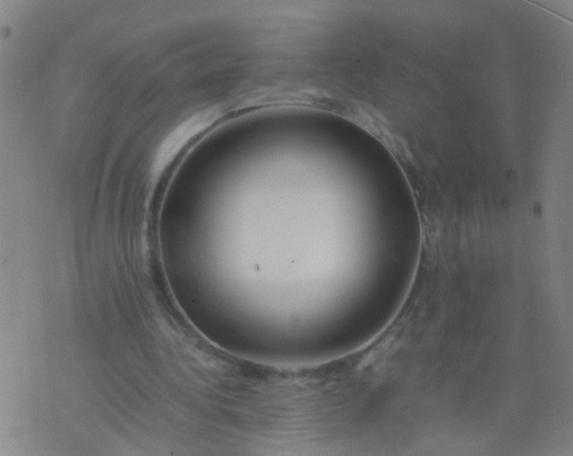 X0000074310340200609081947