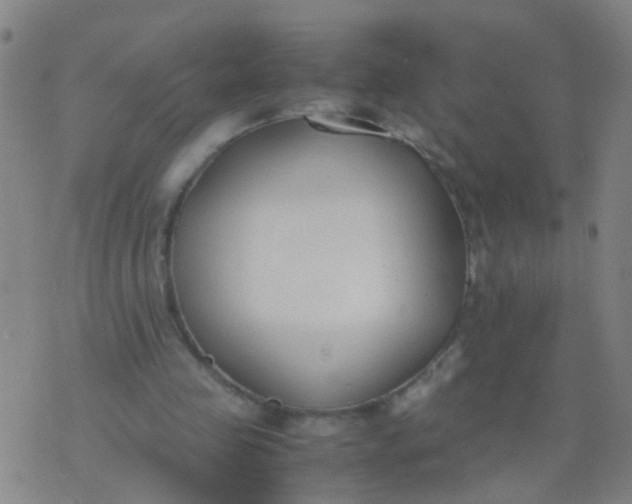 X0000074310341200609081947