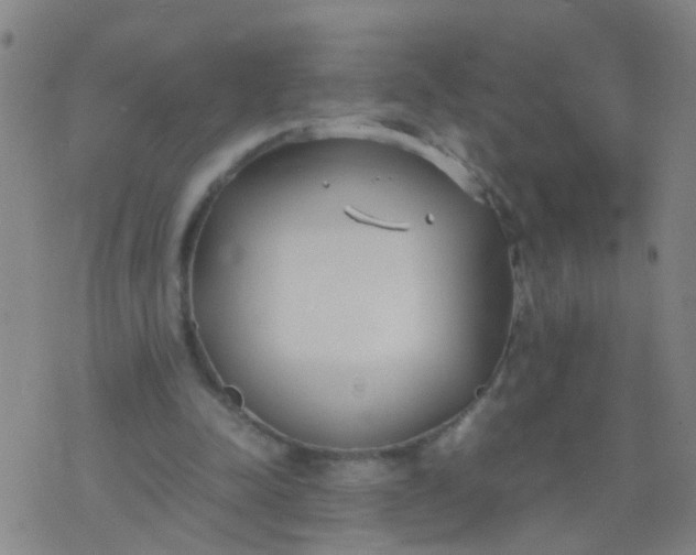 X0000074310342200609081947