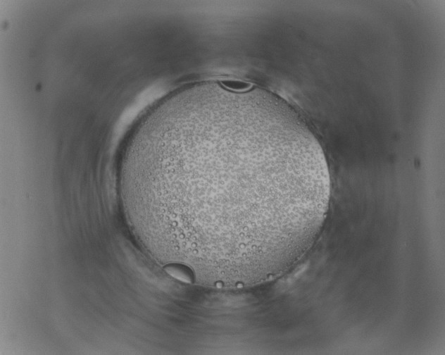 X0000074310343200609081947