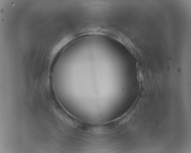 X0000074310344200609081947