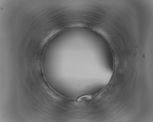 X0000074310345200609081948