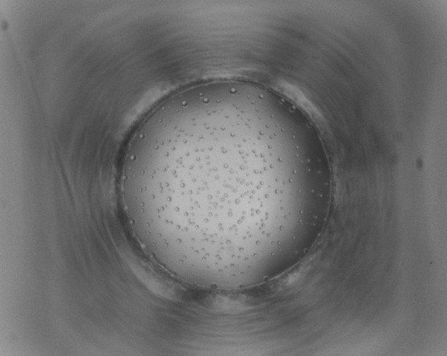 X0000074310346200609081948