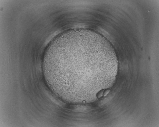 X0000074310347200609081948