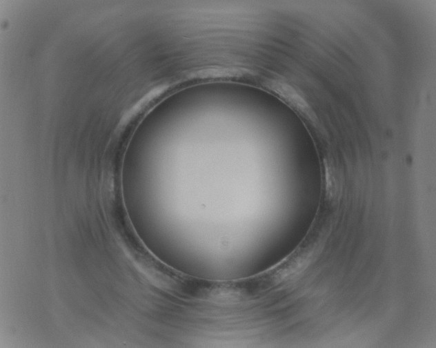 X0000074310348200609081948