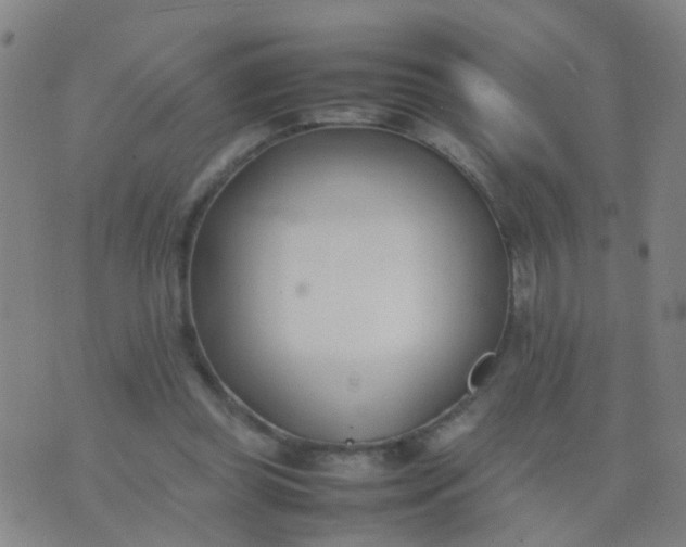 X0000074310349200609081948