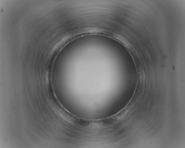 X0000074310350200609081948