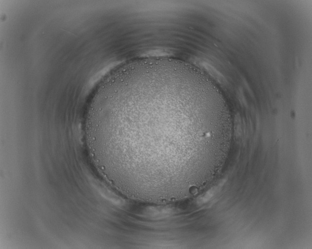 X0000074310351200609081948