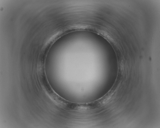 X0000074310352200609081948