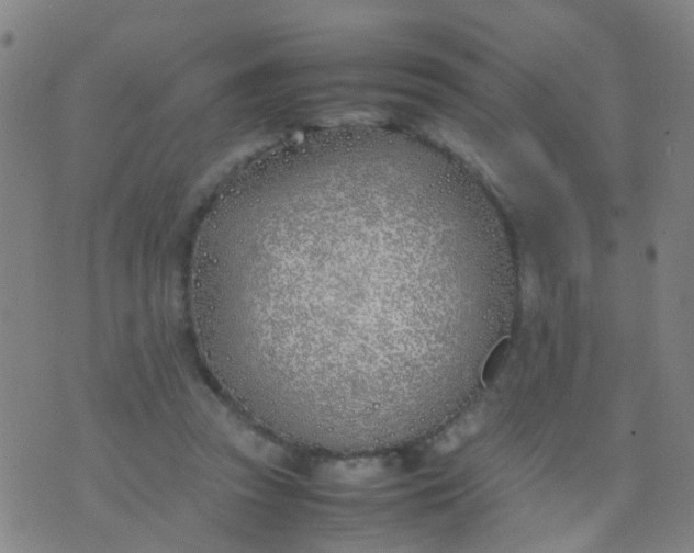 X0000074310353200609081948